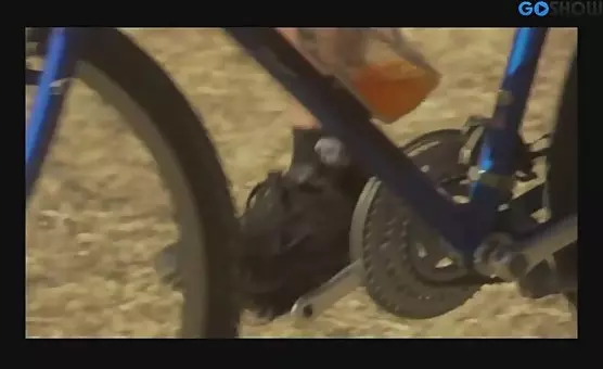 Blowjob Outdoor Adventures Cunnilingus and Raw Passion