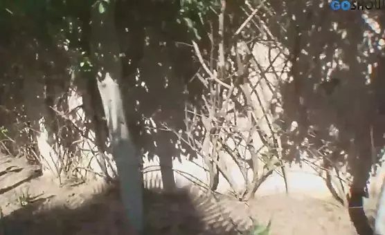 Juicy Sucking Pleasures Clits and Labia on Her Face