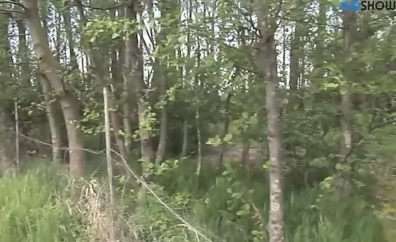 Sensual Blond CockSucking Babe in Braids